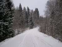 PC020080.JPG