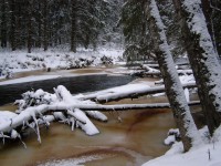 PC020073.JPG