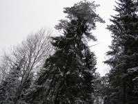 PC020058.JPG