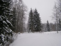 PC080108.JPG