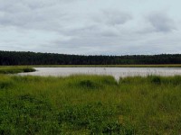 IMG_0534.JPG (61.19 КБ) 24164 просмотра IMG_0534.JPG