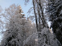 P1050258.JPG