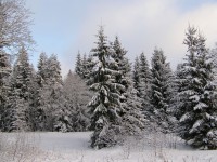 P1050251.JPG