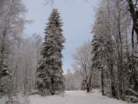 P1050231.JPG