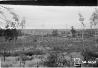 14.09.41_9.jpg
