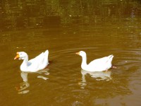 IMG_6472.jpg (238.85 КБ) 12314 просмотров IMG_6472.jpg