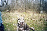 EPSON062.JPG (337.08 КБ) 2871 просмотр EPSON062.JPG