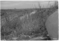 132327_220743.jpg (179.37 КБ) 9442 просмотра 132327_220743.jpg