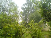 DSC01180.JPG