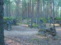 Линия Салпа,до Хельсинки 200км 003.jpg