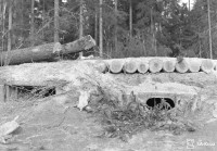 Screenshot_9.jpg (324.79 КБ) 11170 просмотров Screenshot_9.jpg