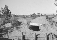 Screenshot_8.jpg (275.88 КБ) 11641 просмотр Screenshot_8.jpg