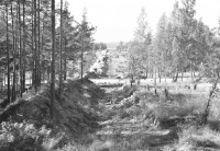 Screenshot_6.jpg (479.92 КБ) 11649 просмотров Screenshot_6.jpg