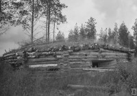 Screenshot_3.jpg (317.27 КБ) 11653 просмотра Screenshot_3.jpg