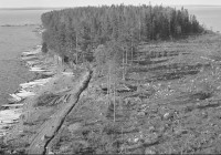 Screenshot_2.jpg (407.96 КБ) 11671 просмотр Screenshot_2.jpg