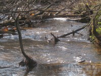 IMG_9427.jpg (171.85 КБ) 15450 просмотров IMG_9427.jpg