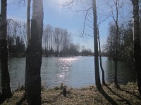 IMG_9505.jpg (129.75 КБ) 15840 просмотров IMG_9505.jpg