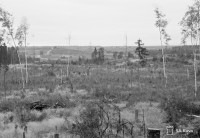 Screenshot_4.jpg
