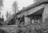 Screenshot_3.jpg