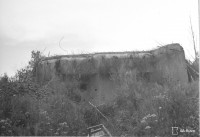 Screenshot_11.jpg