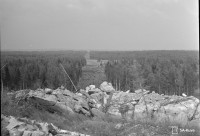 Screenshot_7.jpg