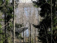 IMG_1517.JPG