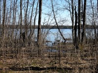 IMG_1504.JPG