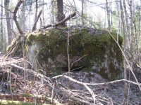 IMG_1531.JPG