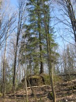 IMG_1534.JPG
