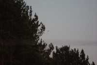 IMGP4557_.jpg