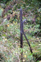 061.JPG (191.53 КБ) 16244 просмотра 061.JPG