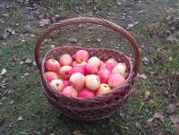 IMAG0419.jpg (343.92 КБ) 15858 просмотров IMAG0419.jpg