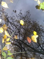 IMAG0416.jpg (190.66 КБ) 15842 просмотра IMAG0416.jpg