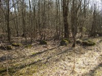 DSCF6066.jpg