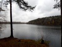 ястребиное 098.jpg