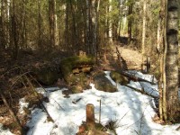DSCF6121.jpg
