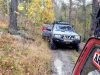 ястребиное 032.jpg