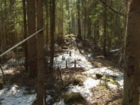 DSCF6125.jpg