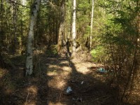 DSCF6127.jpg