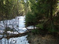 DSCF6105.jpg