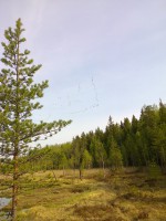 Фото0033 - копия.jpg (744.01 КБ) 15851 просмотр Фото0033 - копия.jpg