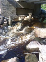 Фото0034.jpg (1.06 МБ) 15855 просмотров Фото0034.jpg