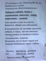140_такса.jpg (119.83 КБ) 3590 просмотров 140_такса.jpg