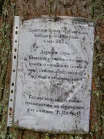 Изображение 035.jpg (259.33 КБ) 10200 просмотров Изображение 035.jpg