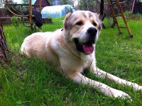 IMG_2958.jpg (224.14 КБ) 3467 просмотров IMG_2958.jpg