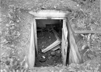 42071.jpg (206.79 КБ) 19082 просмотра 42071.jpg