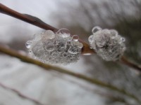 IMG_3590.jpg (49.03 КБ) 18613 просмотров IMG_3590.jpg