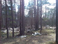 IMG_20150425_134720.jpg (1.63 МБ) 7324 просмотра IMG_20150425_134720.jpg