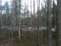 IMG_20150425_134645.jpg (1.73 МБ) 7330 просмотров IMG_20150425_134645.jpg