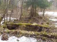 IMG_20150425_135316.jpg (1.43 МБ) 7296 просмотров IMG_20150425_135316.jpg